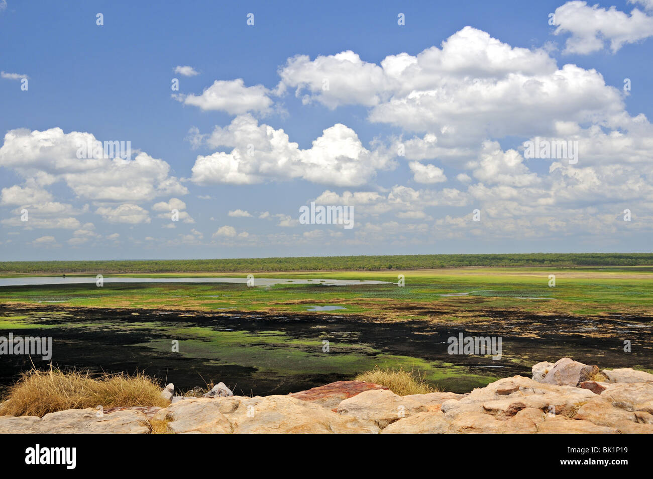 La selvaggia e remota del paesaggio della Nadab floodplain a Ubirr nell'UNESCO di cui il Parco Nazionale Kakadu, Northern Territory ,estremità superiore, Australia Foto Stock