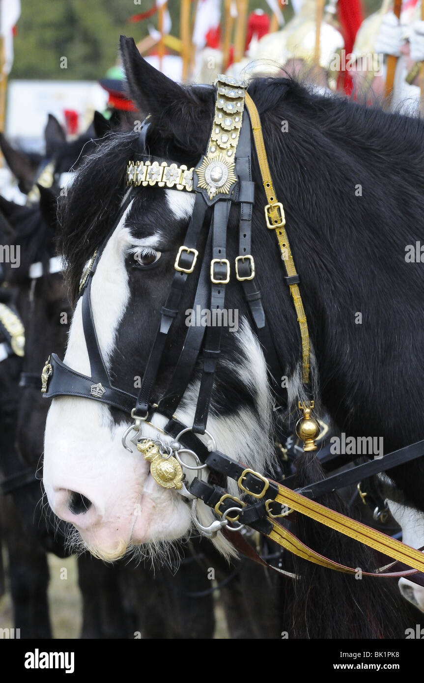 Cavalleria domestico dopo aver eseguito il loro giro musicale., Betfair Lambourn Open Day , Berkshire Pasqua 2010 Foto Stock
