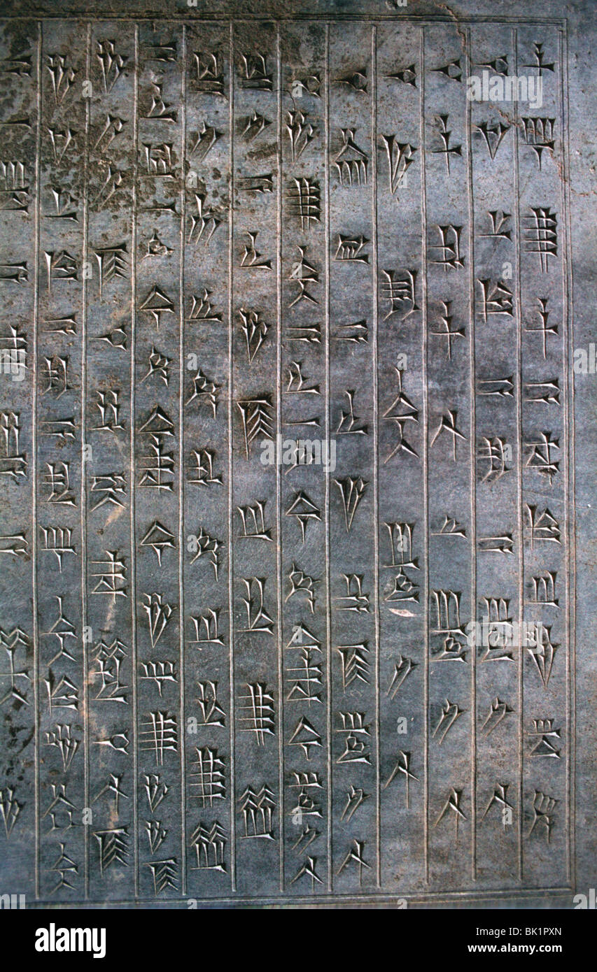 Rilievo del testo cuneiforme, la Apadana, Persepolis, Iran Foto Stock