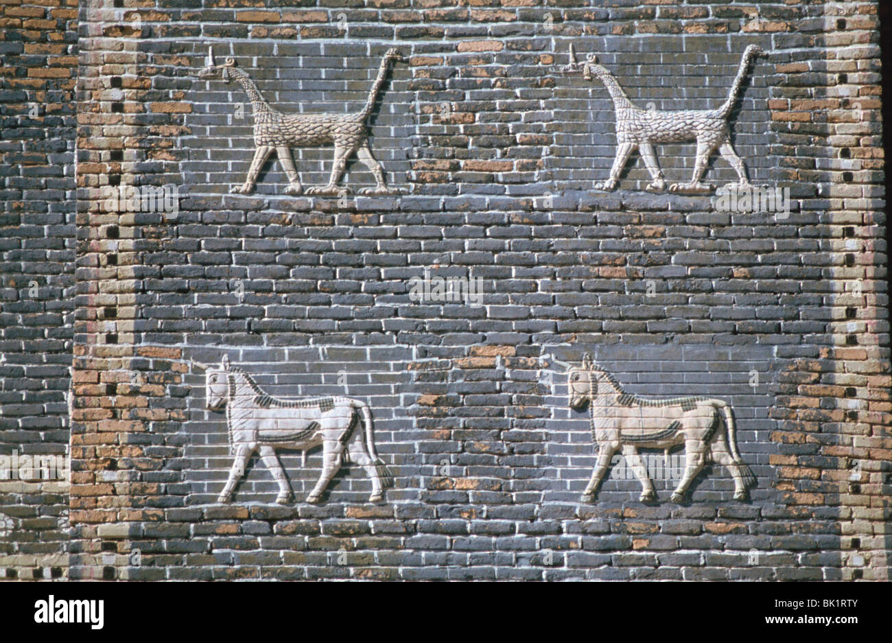 Draghi e tori mattoni smaltati, Ishtar Gate, Babilonia, Iraq. Foto Stock