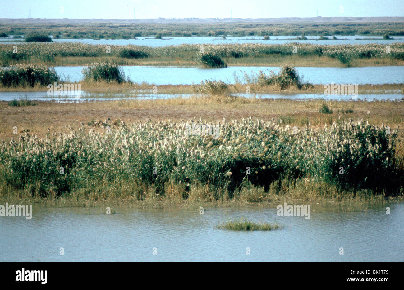 Fiume Tigri dal portale della rovina del califfo Palace, Samarra in Iraq, 1977. Foto Stock