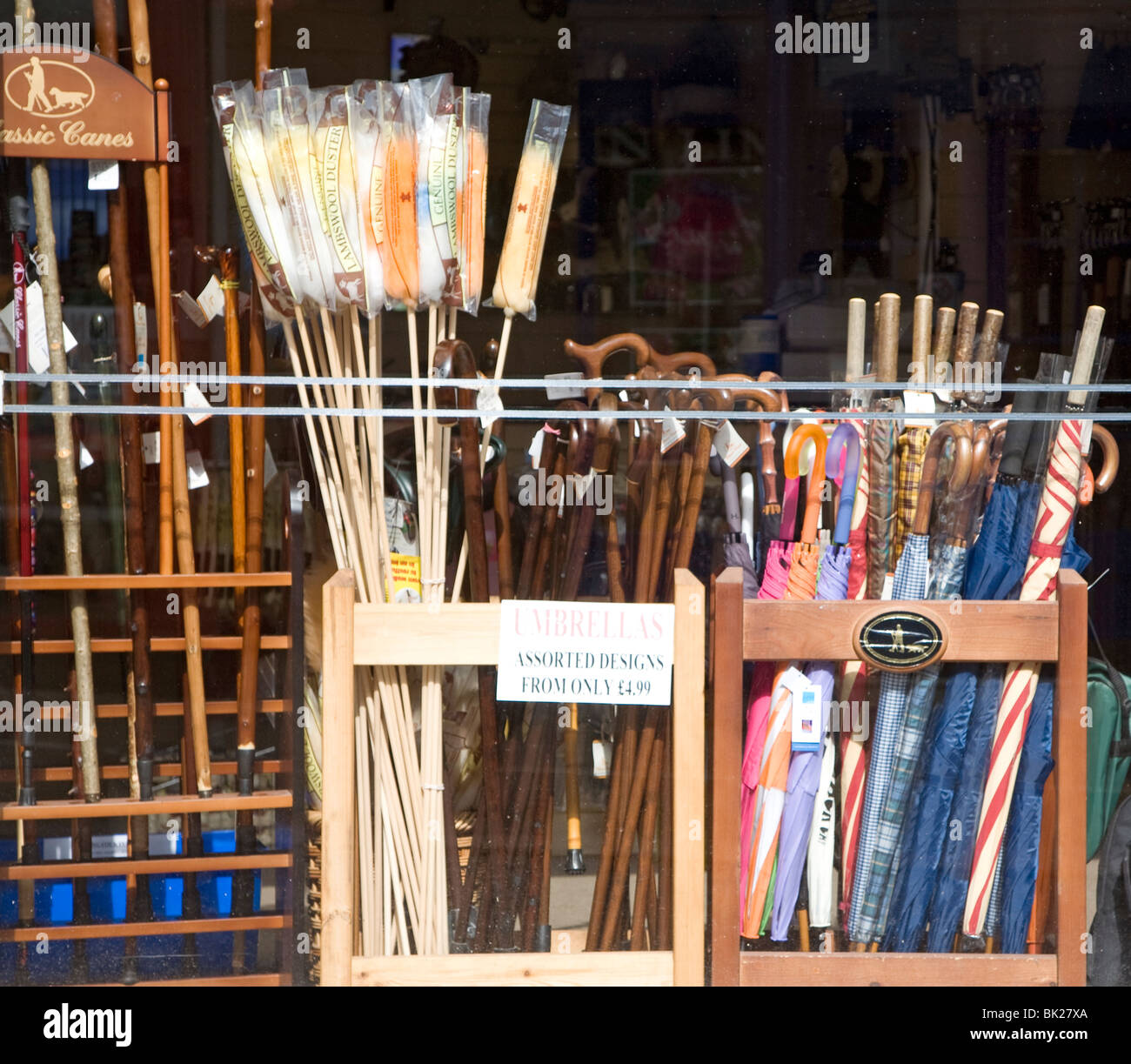 Ombrelli e bastoni da passeggio shop display Woodbridge, Suffolk Foto Stock
