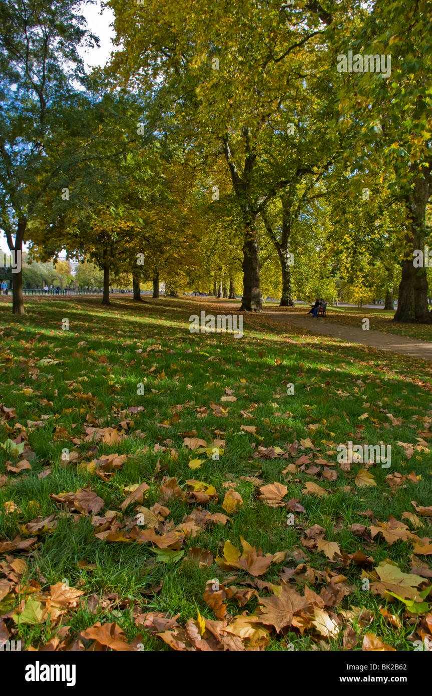 Il marcio fila, Hyde Park, Londra Foto Stock