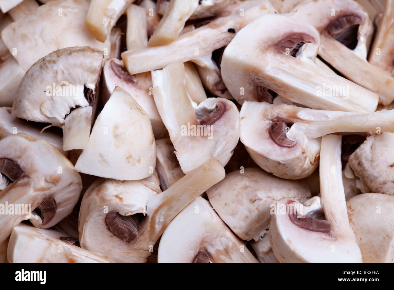 Commestibile pulsante bianco o funghi champignon, sano cibo organico Foto Stock