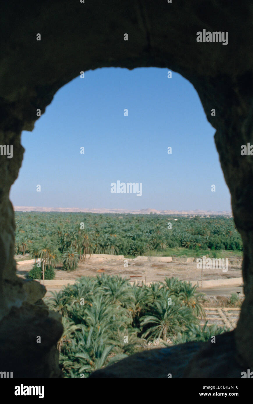 Vista di Siwa da Aghurmi, Egitto, 1992. Foto Stock