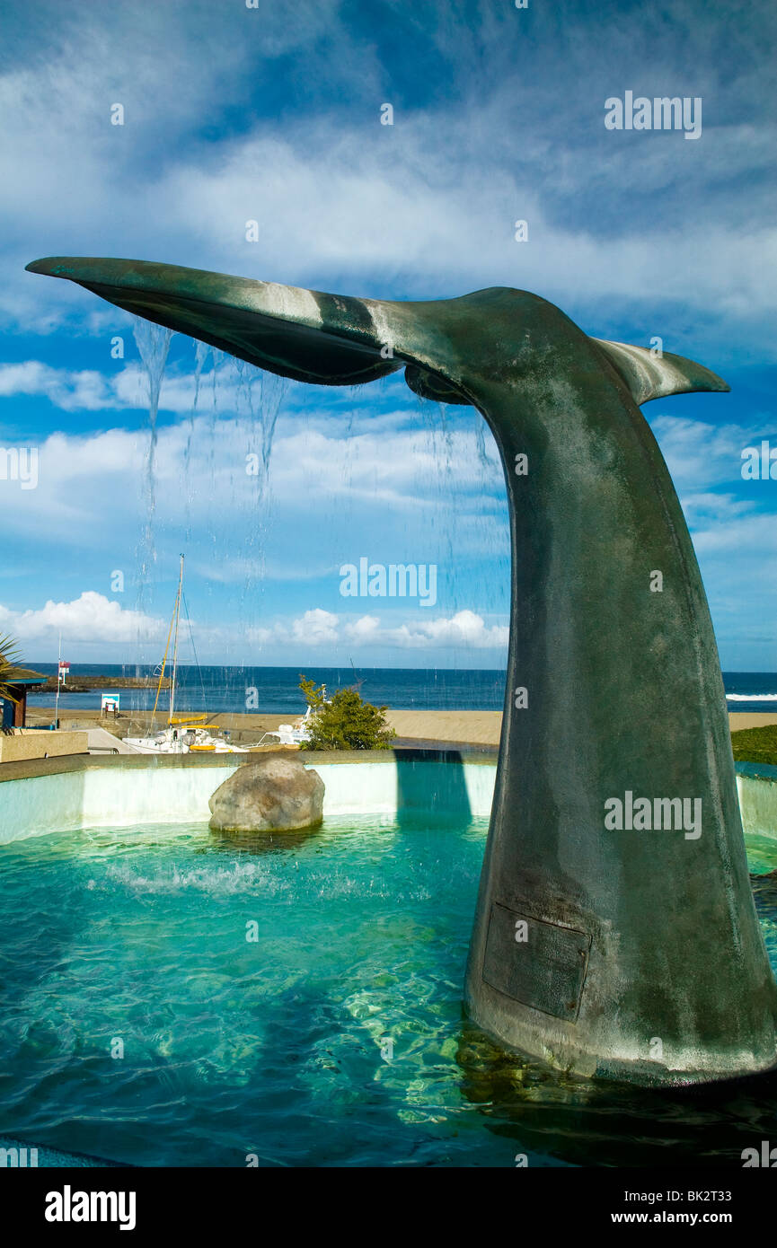 Museo Oceanografico di SAINT-GILLES, isola di Reunion Foto Stock
