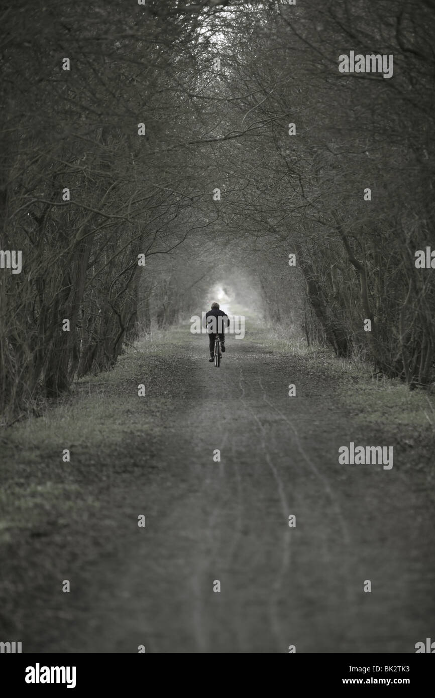 Un ciclista corse in distanza attraverso un bosco nel Regno Unito in un montante fotografia con bokeh di fondo Foto Stock