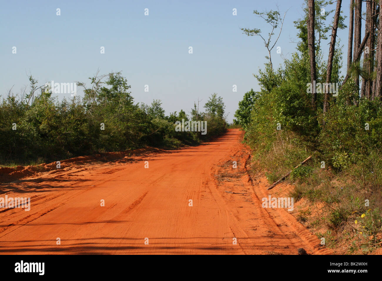 Strada esponendo terre rosse della Florida Panhandle SE USA da Dembinsky Foto Assoc Foto Stock