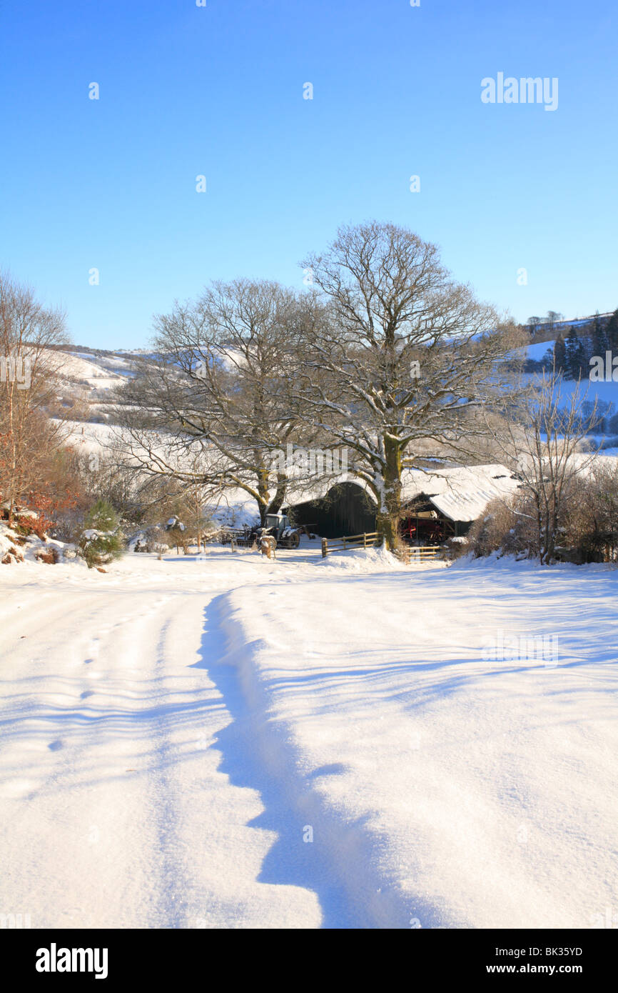 Inverno in scena la Hafren (Severn Valley). Vicino a Llanidloes, POWYS, GALLES. Foto Stock