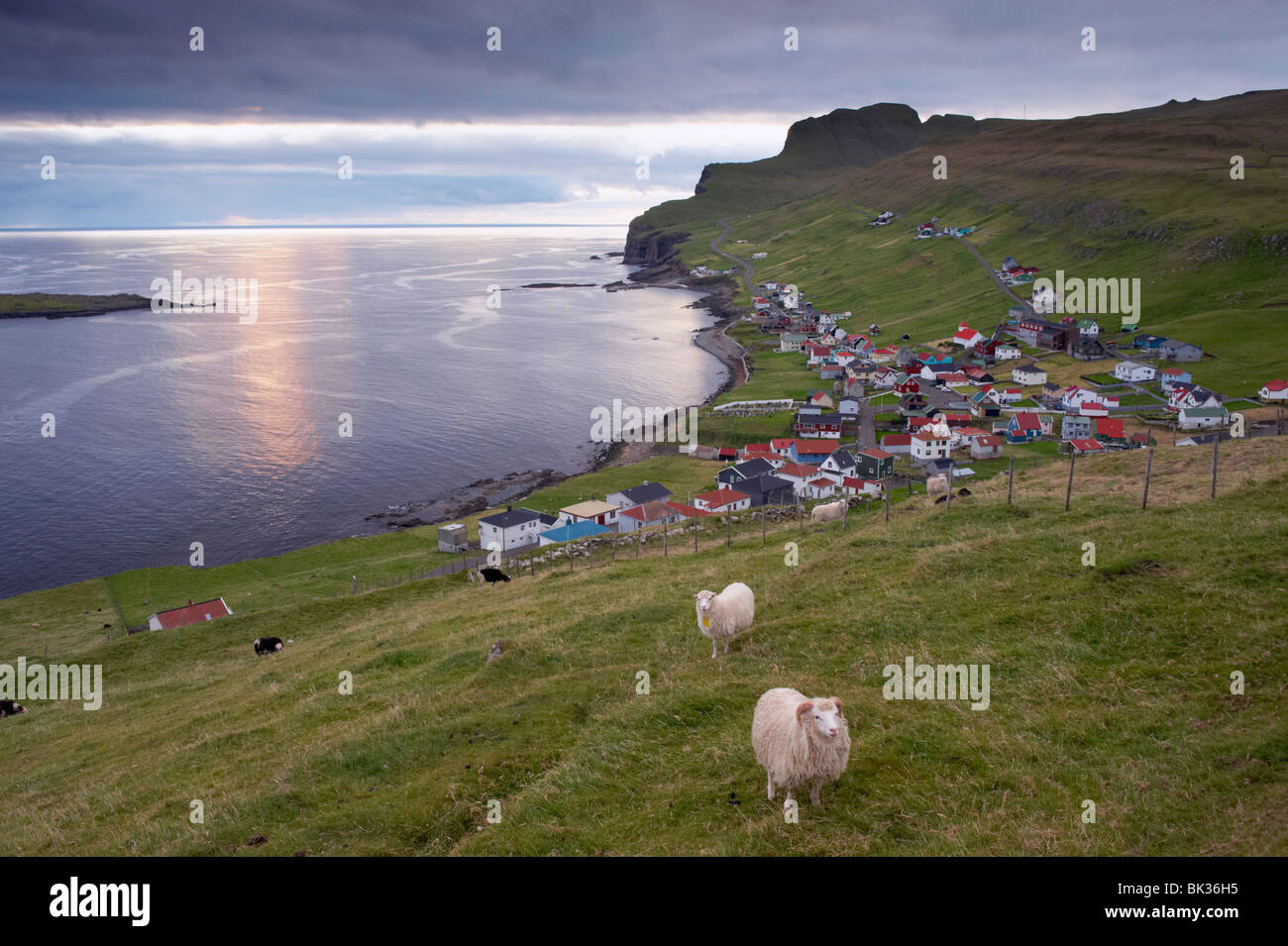 Sumba, pittoresco borgo a sud-ovest di Punta della isola di Suduroy e pecore, Suduroy isola, isole Faerøer (Isole Faerøer), Danimarca Foto Stock