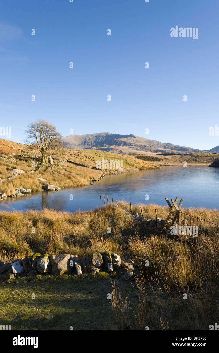 Vista su tutta Llyn y Dywarchen a Mount Snowdon nel Parco Nazionale di Snowdonia. Rhyd-Ddu, Gwynedd, il Galles del Nord, Regno Unito, Europa Foto Stock