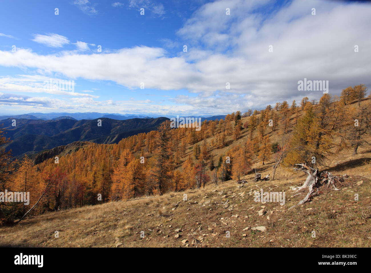 Paesaggio autunnale nel Authion Camp d'Argent summit vicino al Turini top mountain Foto Stock