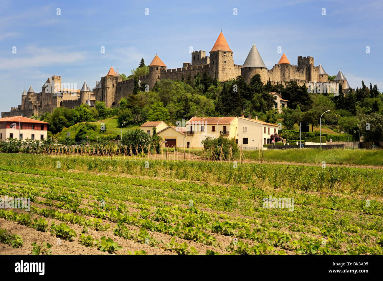 Murata e turrita fortezza di Cite, Carcassonne, Sito Patrimonio Mondiale dell'UNESCO, Languedoc, Francia, Europa Foto Stock