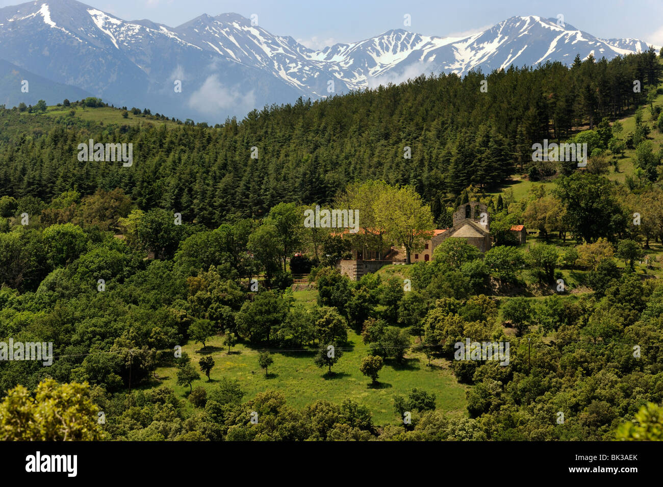 Vista sulla montagna vicino San Marsal, Pirenei orientali, Francia, Europa Foto Stock