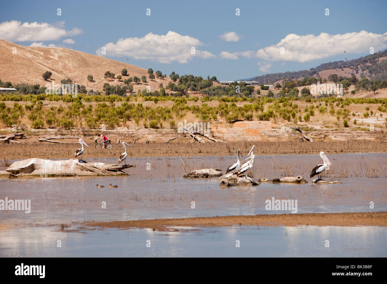 Siccità al Lago Eildon Bonnie Doon, Australia. Foto Stock