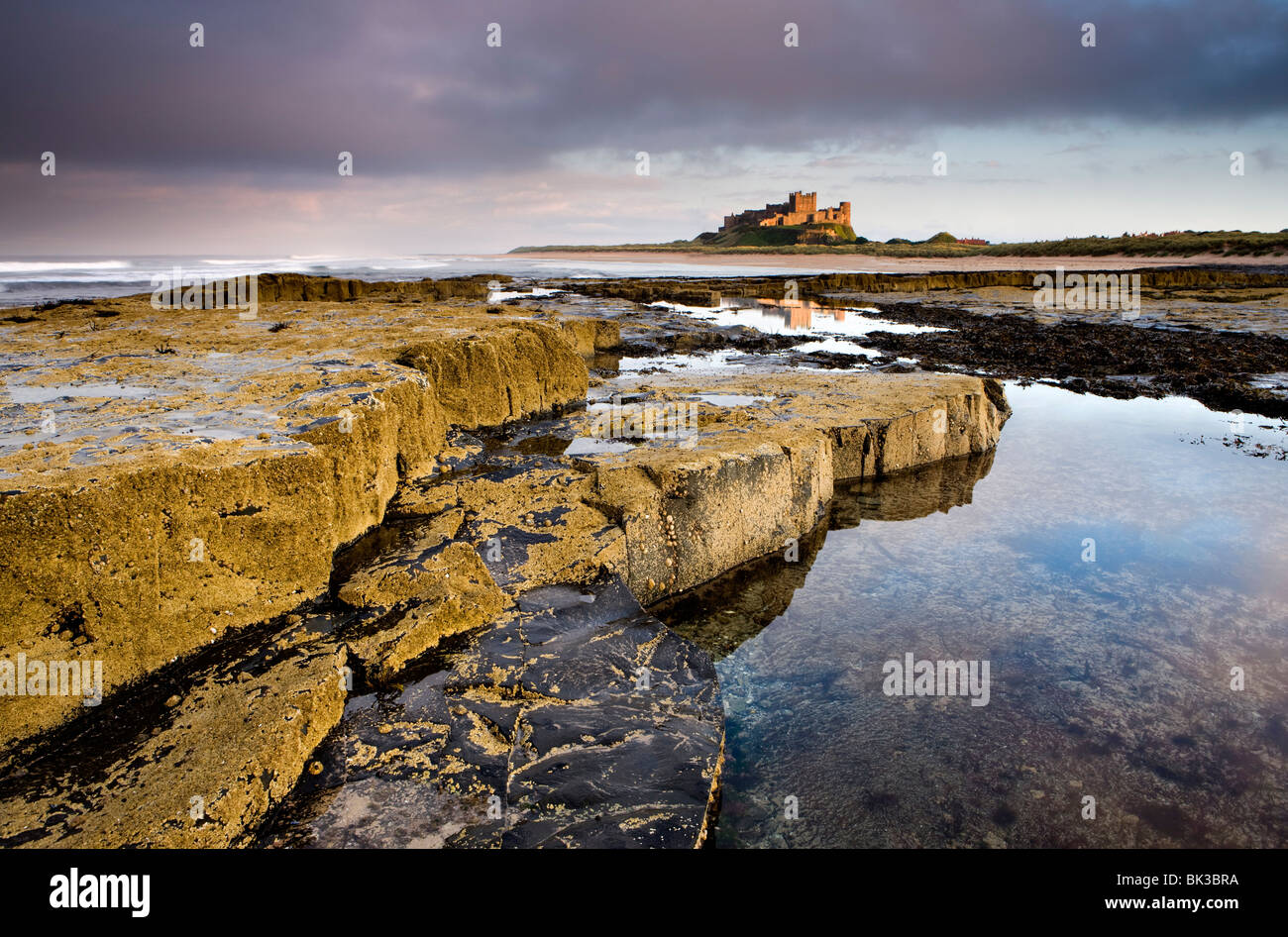 Il castello di Bamburgh inondate di luce della sera con in primo piano del barnacle-incrostati di rocce, Bamburgh, Northumberland, Inghilterra Foto Stock