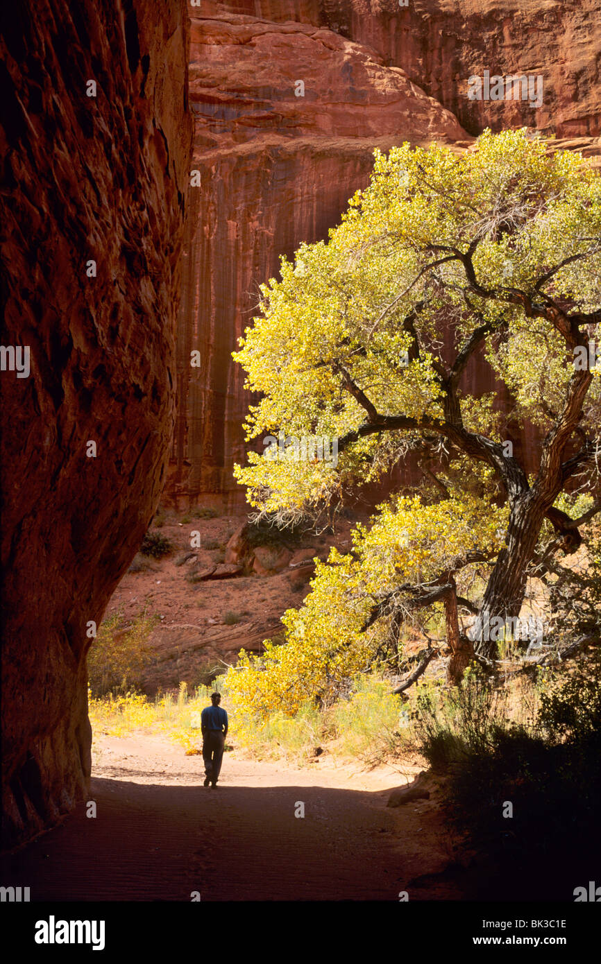 Escursionista in Moody Canyon nel Escalante Canyons, Glen Canyon National Recreation Area, Utah. Foto Stock Escursionista in Moody Canyon nel Escalante Canyons, Glen Canyon National Recreation Area, Utah. Foto Stock