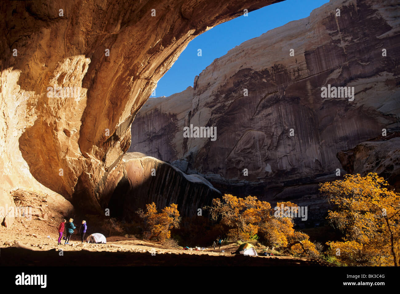 Campeggio in un enorme alcova lungo inferiore Twist Muley Canyon in Il Waterpocket Fold di Capitol Reef National Park nello Utah. Foto Stock Campeggio in un enorme alcova lungo inferiore Twist Muley Canyon in Il Waterpocket Fold di Capitol Reef National Park nello Utah. Foto Stock