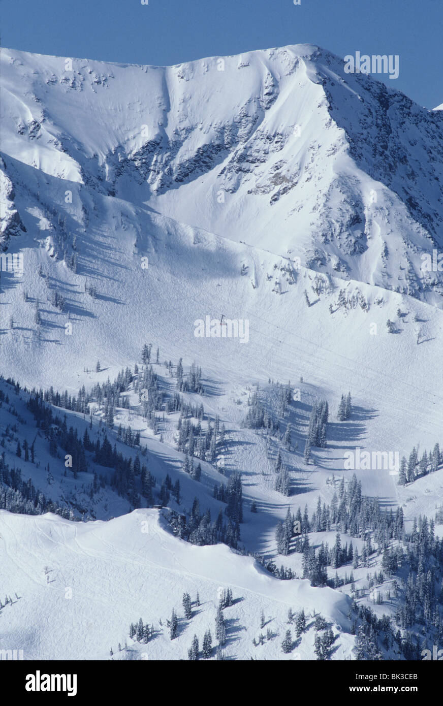 Snowbird Tram pende sopra il Cirque, Snowbird Resort, Montagne Wasatch, Utah Foto Stock Snowbird Tram pende sopra il Cirque, Snowbird Resort, Montagne Wasatch, Utah Foto Stock