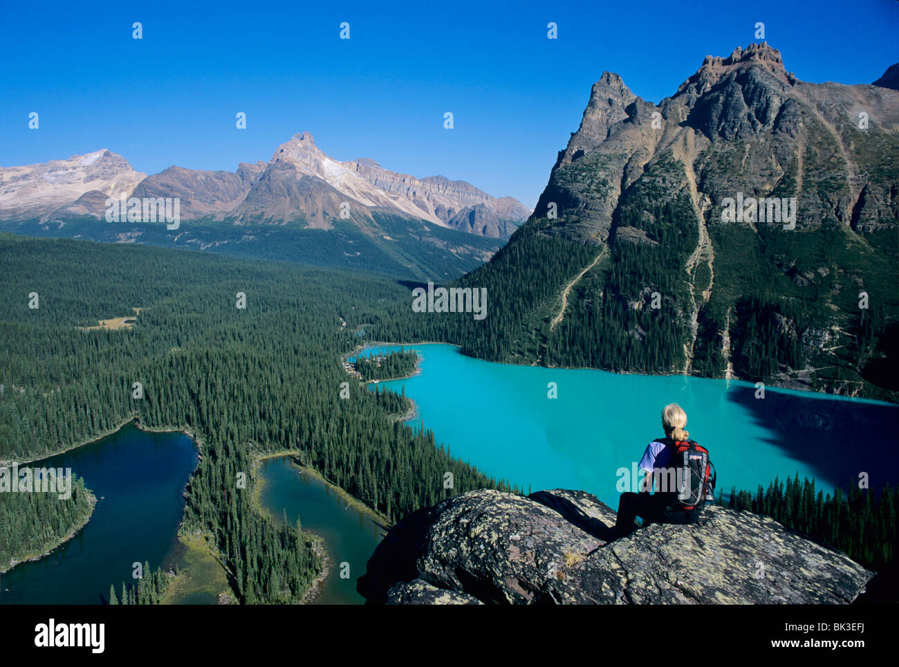 Escursionista affacciato sul lago O'hara da Opabin belvedere nel parco Nazionale di Yoho, British Columbia, Canada. Foto Stock Escursionista affacciato sul lago O'hara da Opabin belvedere nel parco Nazionale di Yoho, British Columbia, Canada. Foto Stock