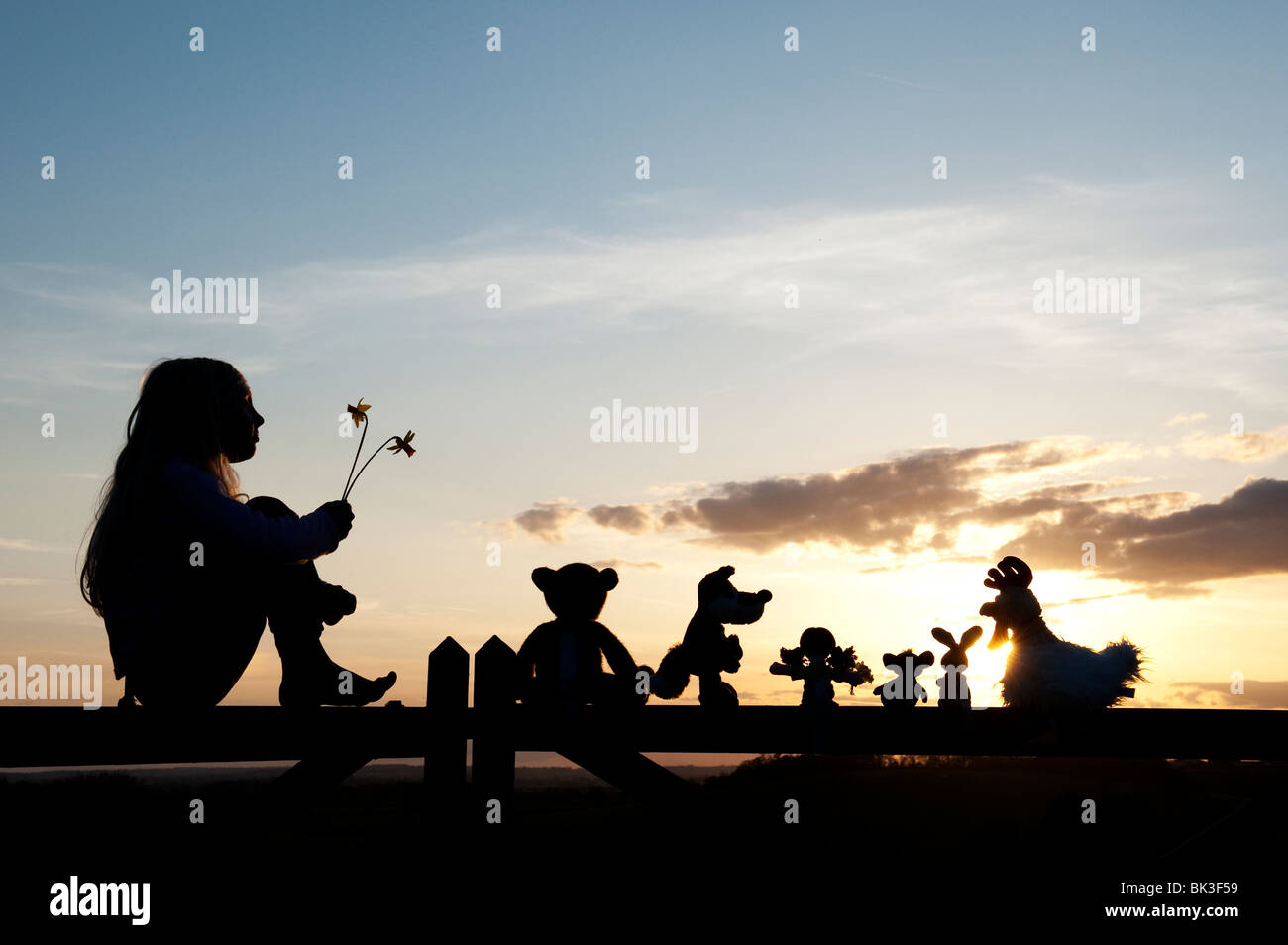 Ragazza giovane con narcisi e un rag doll, pollo, la volpe, il coniglio e orso peluche seduto su un cancello al tramonto . Silhouette Foto Stock