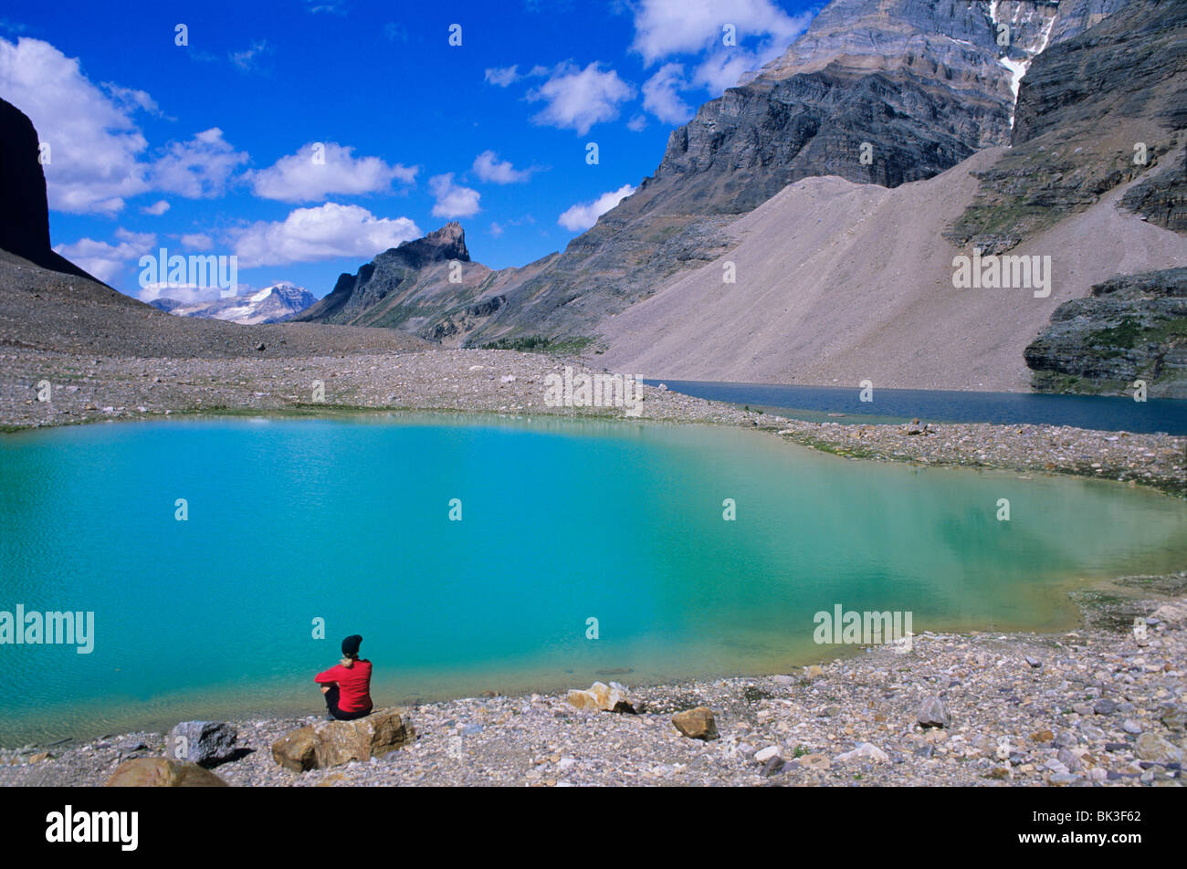 Sulle rive del piccolo lago Oesa con la sommità di picco Wiwaxy in background. Il lago di O'Hara area, Parco Nazionale di Yoho, BC, Canada. Foto Stock Sulle rive del piccolo lago Oesa con la sommità di picco Wiwaxy in background. Il lago di O'Hara area, Parco Nazionale di Yoho, BC, Canada. Foto Stock