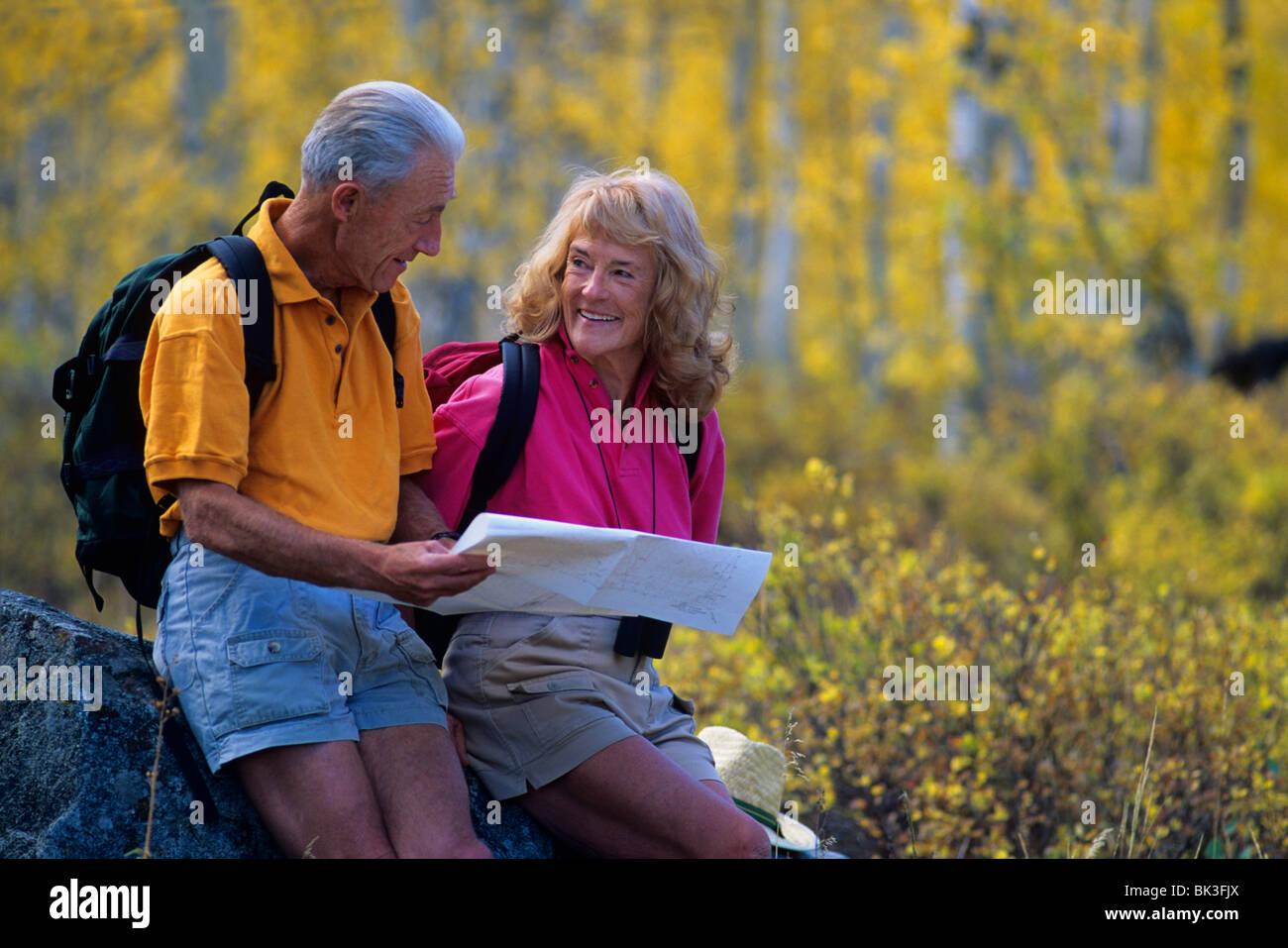 Una coppia senior pause per rivedere la mappa durante le escursioni attraverso un boschetto di alberi di Aspen in Wasatch Mountains del nord dello Utah. Foto Stock Una coppia senior pause per rivedere la mappa durante le escursioni attraverso un boschetto di alberi di Aspen in Wasatch Mountains del nord dello Utah. Foto Stock