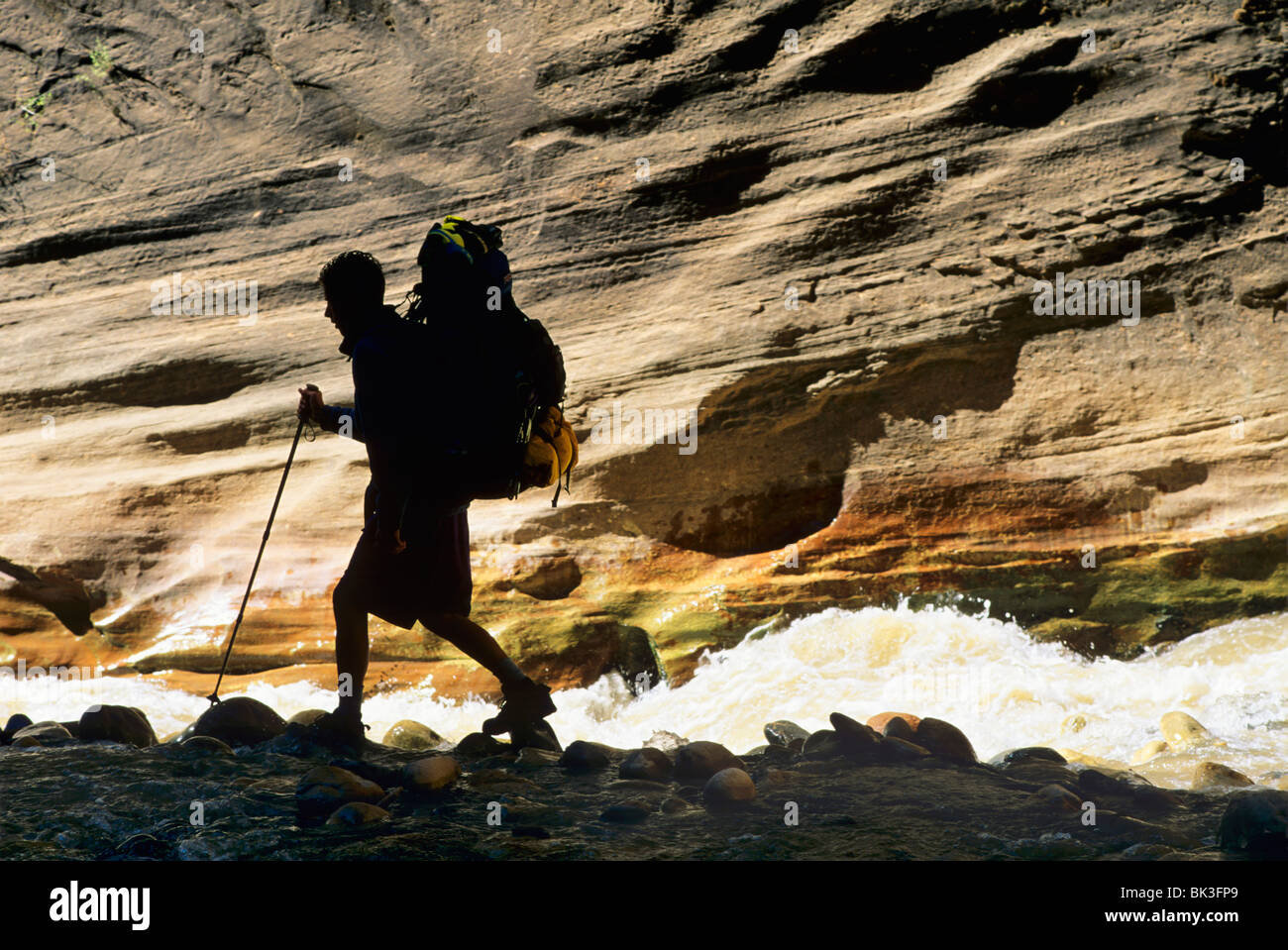 Escursionismo accanto al fiume vergine nel fiume vergine si restringe del Parco Nazionale di Zion, Utah. Foto Stock Escursionismo accanto al fiume vergine nel fiume vergine si restringe del Parco Nazionale di Zion, Utah. Foto Stock