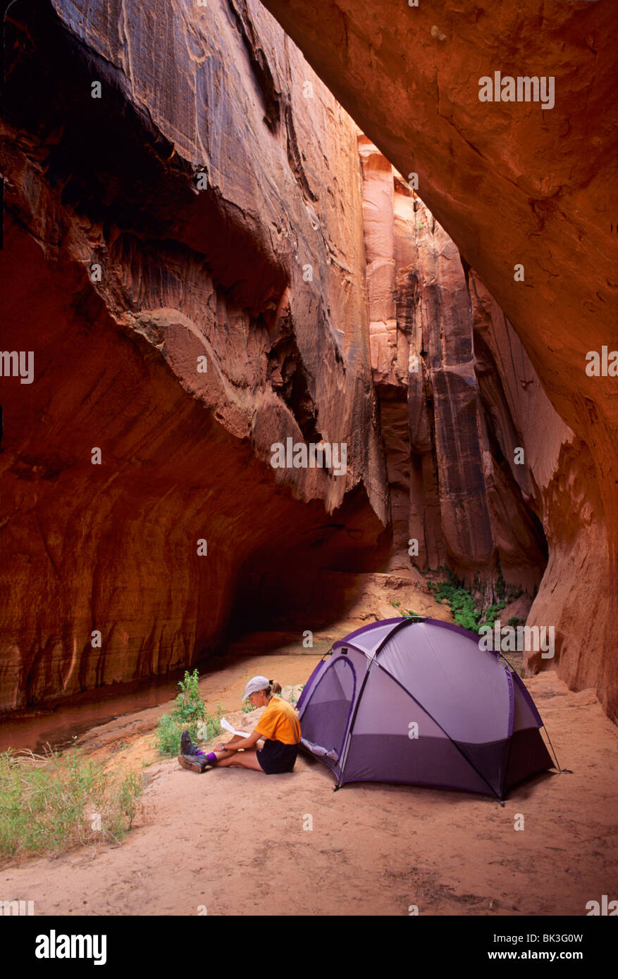 Campeggio in Paria Canyon nel Vermiglio scogliere Paria Canyon deserto, Arizona. Foto Stock