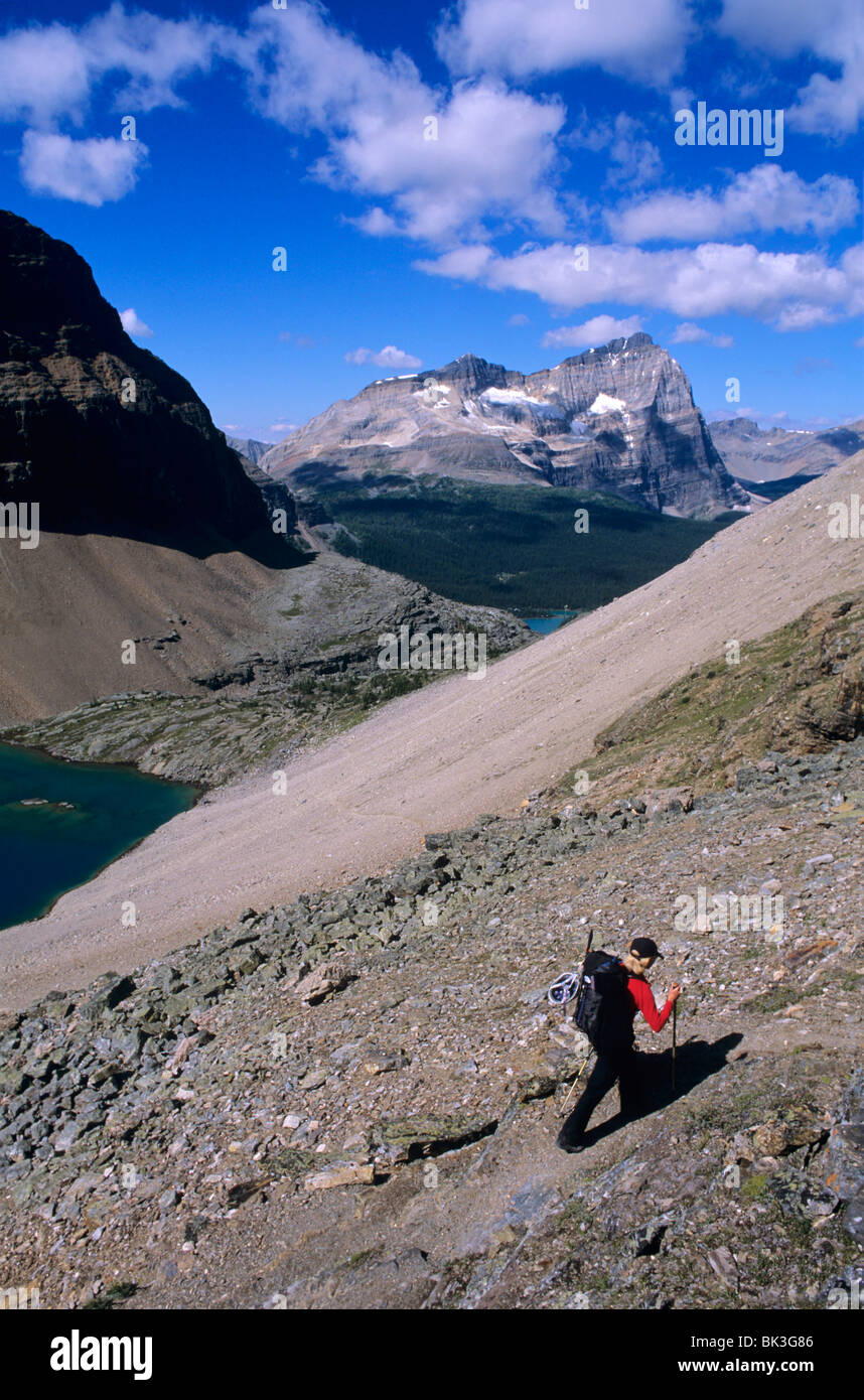 Montare Yukness e Monte Odaray visto dal percorso di abate passano nel lago O'Hara Regione del Parco Nazionale di Yoho, BC, Canada. Foto Stock