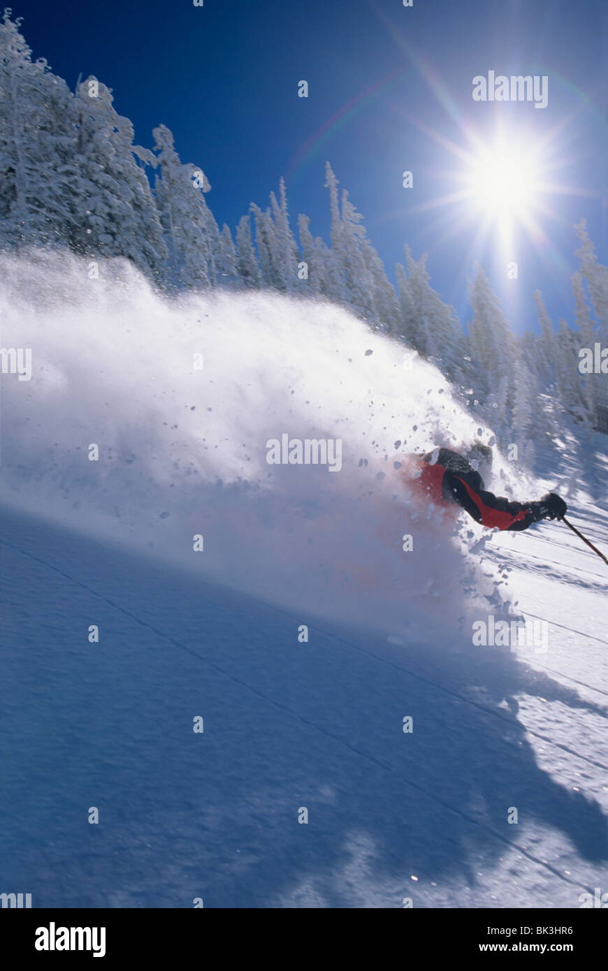 Sciare a Snowbird Resort di Wasatch Mountains del nord dello Utah. Foto Stock Sciare a Snowbird Resort di Wasatch Mountains del nord dello Utah. Foto Stock