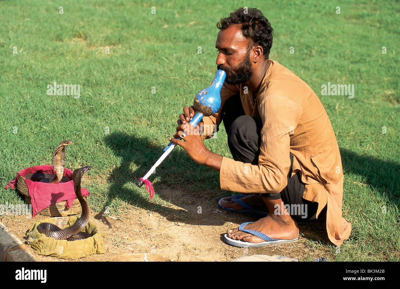 Un uomo che suona musica su uno strumento musicale per spirare serpenti di cobra, India Foto Stock
