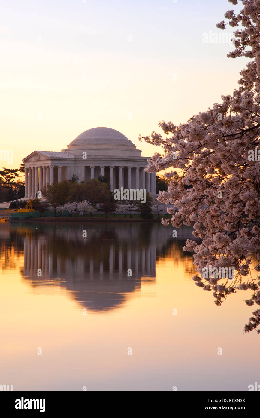 Dawn al bacino di marea con la fioritura dei ciliegi e il Jefferson Memorial, Washington DC, Stati Uniti d'America Foto Stock