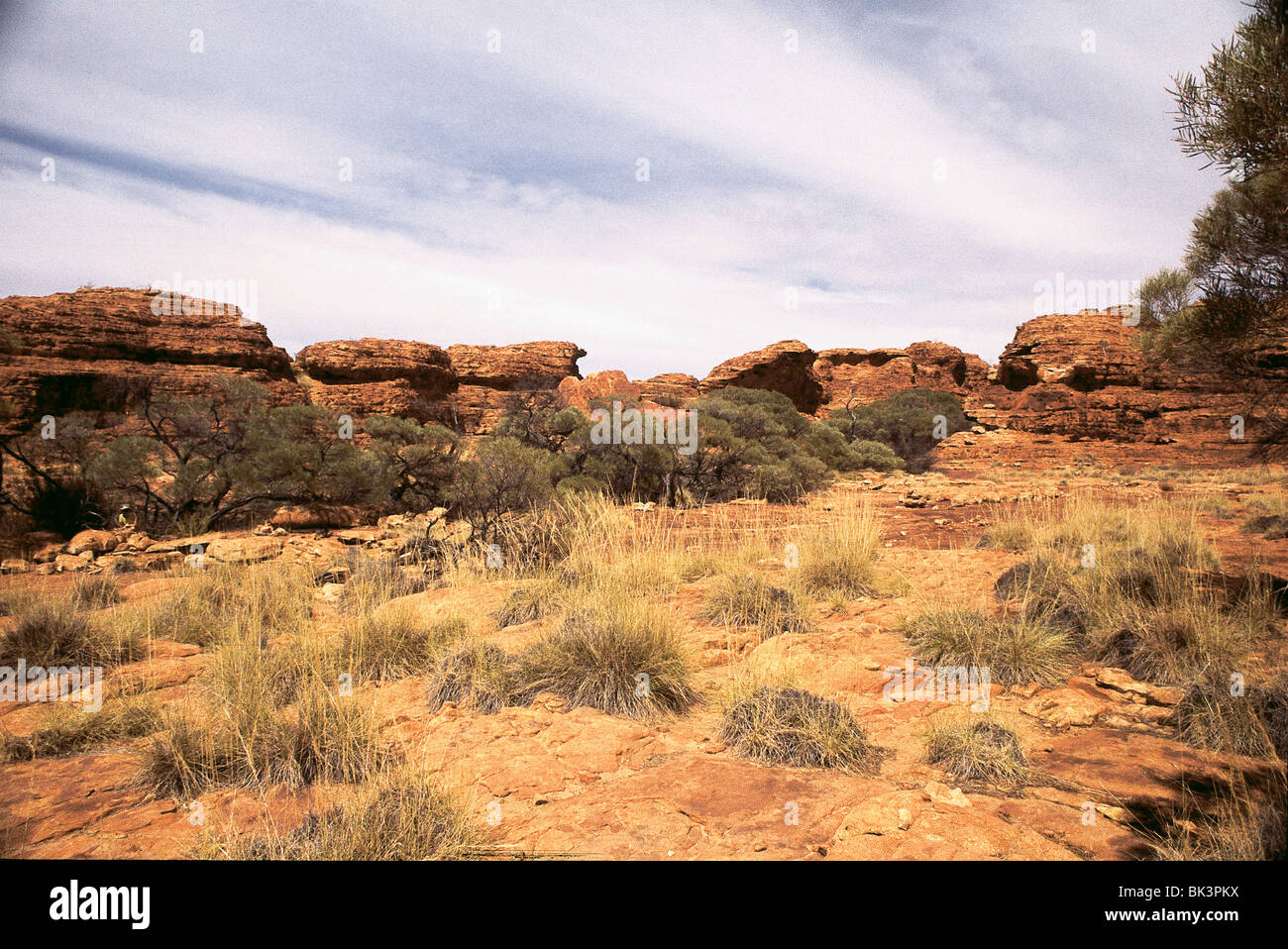 Paesaggio rurale di formazioni rocciose di arenaria con piante e alberi in un canyon vicino Alice Springs, territorio del Nord, Australia Foto Stock