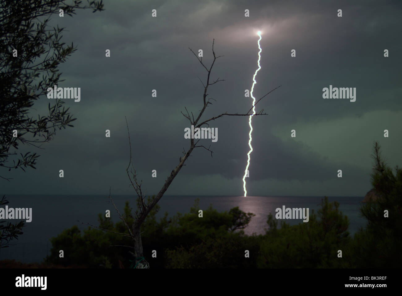 Un fulmine colpisce il mare in contrasto con un ramo di olivo essiccato che raggiunge il cielo notturno durante una tempesta estiva. THASSOS, Grecia. Foto Stock