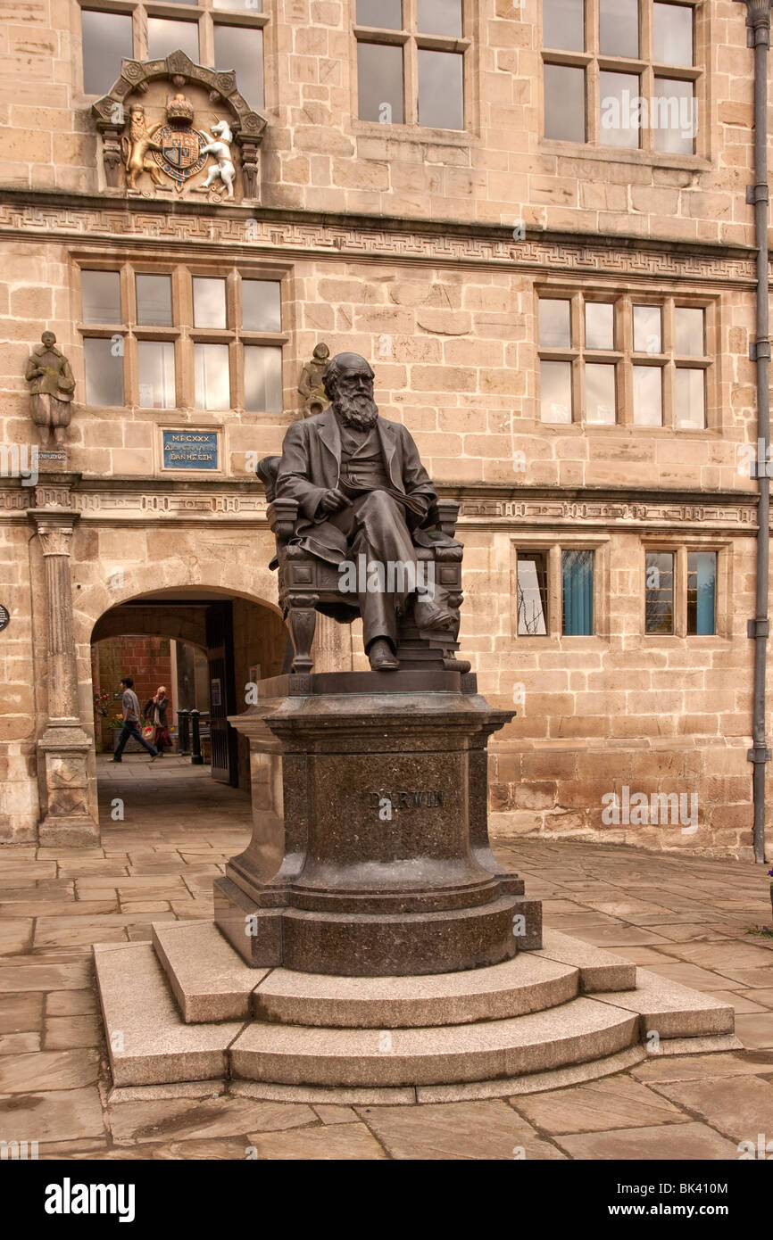 Statua di Darwin al di fuori della libreria di Shrewsbury REGNO UNITO Foto Stock