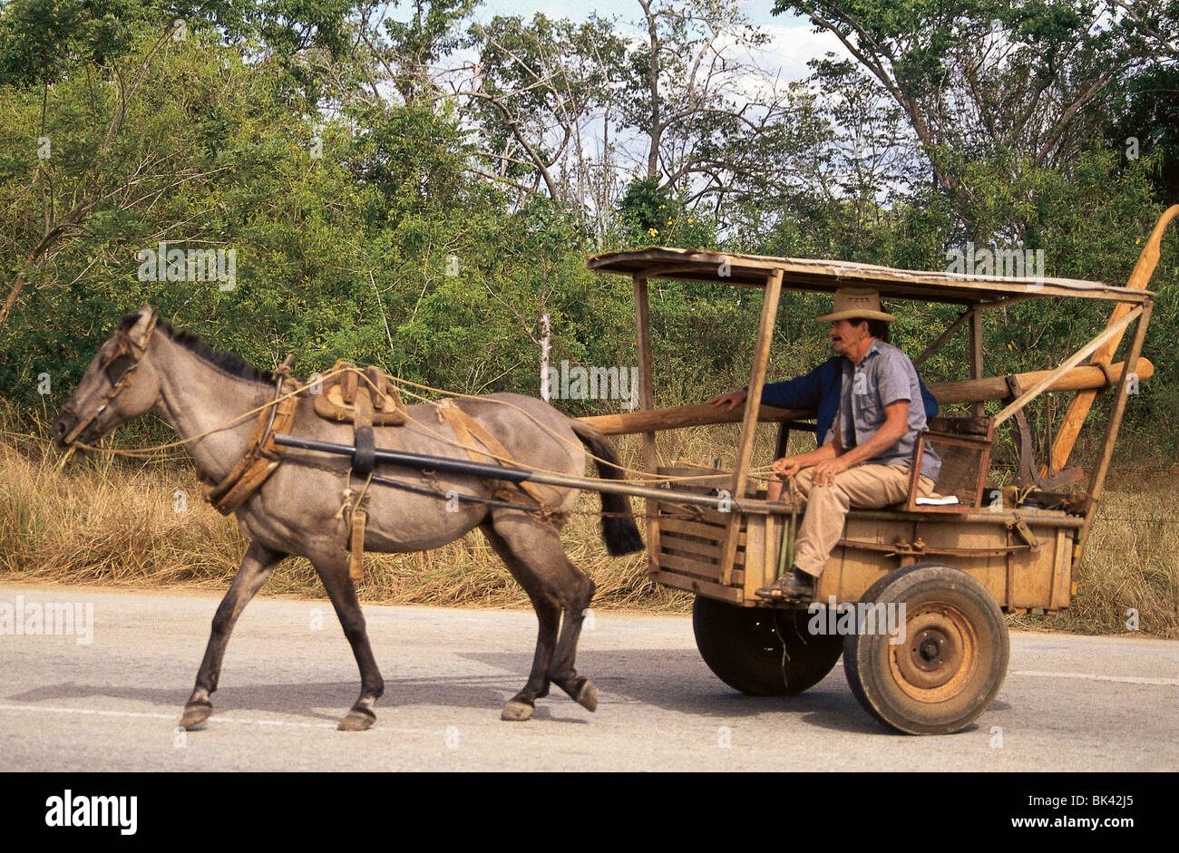 Carrello a cavallo tra Trinidad e Veradero Foto Stock