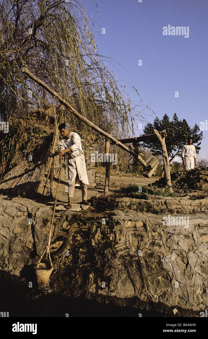 Uomini egiziano usando un shadoof (uno storico strumento di irrigazione) presso la presa diagnostica Ragab's Pharaonic Village (un museo vivente di storia) al Cairo Foto Stock