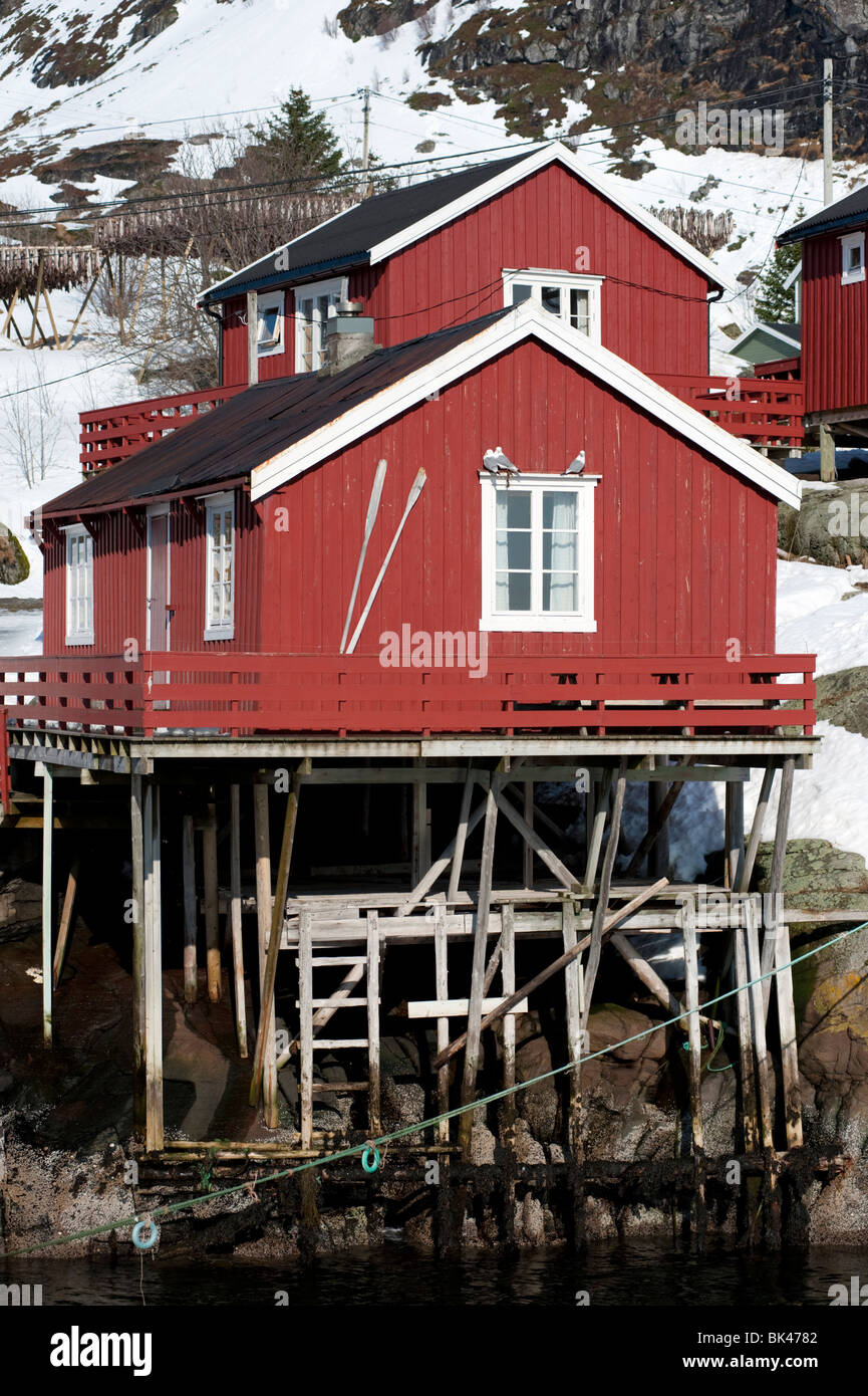 Tradizionale in rosso in legno dei pescatori Rorbu capanne nel villaggio di Å sull isola di Moskenesoya nelle Isole Lofoten in Norvegia Foto Stock