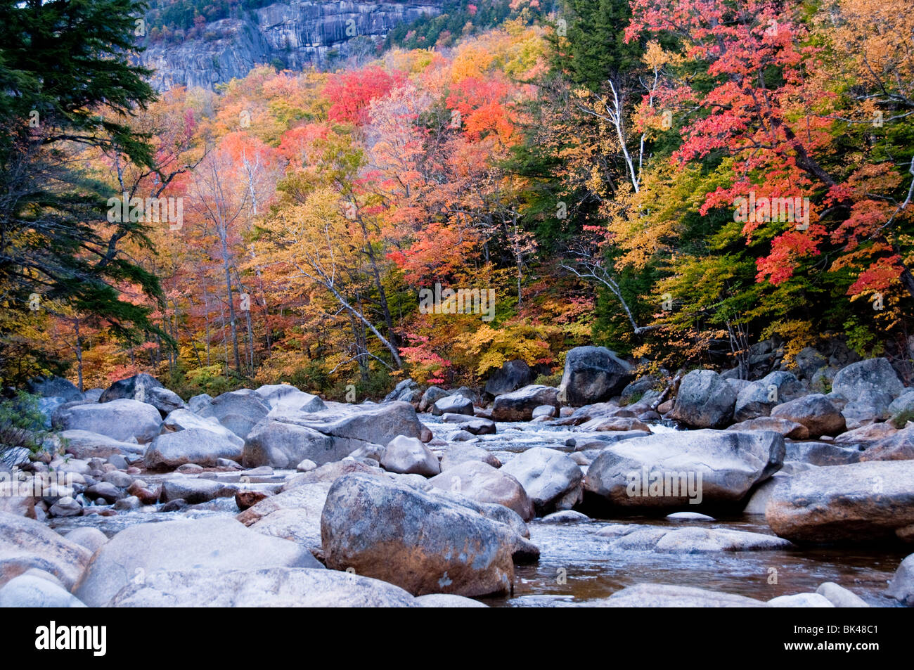 Fiume che scorre al fianco di Kancamagus Highway & Appalachian Trail panoramico con l'Autunno Autunno colori,colori, New Hampshire, STATI UNITI D'AMERICA Foto Stock