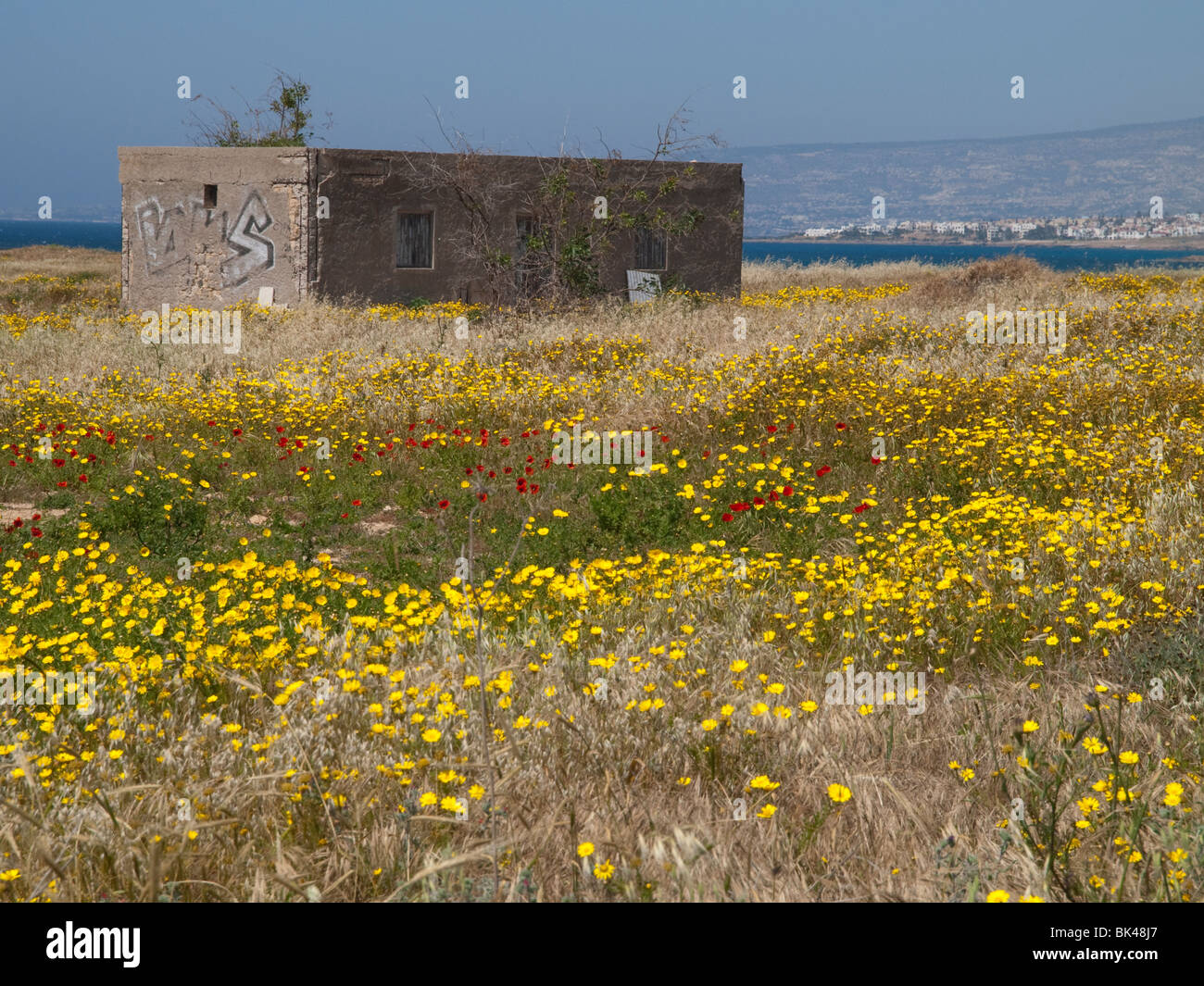 Si tratta di un vecchio edificio circondato da graziosi fiori di primavera sul sito dell'aeroporto di Paphos parco archeologico, Cipro Europa Foto Stock