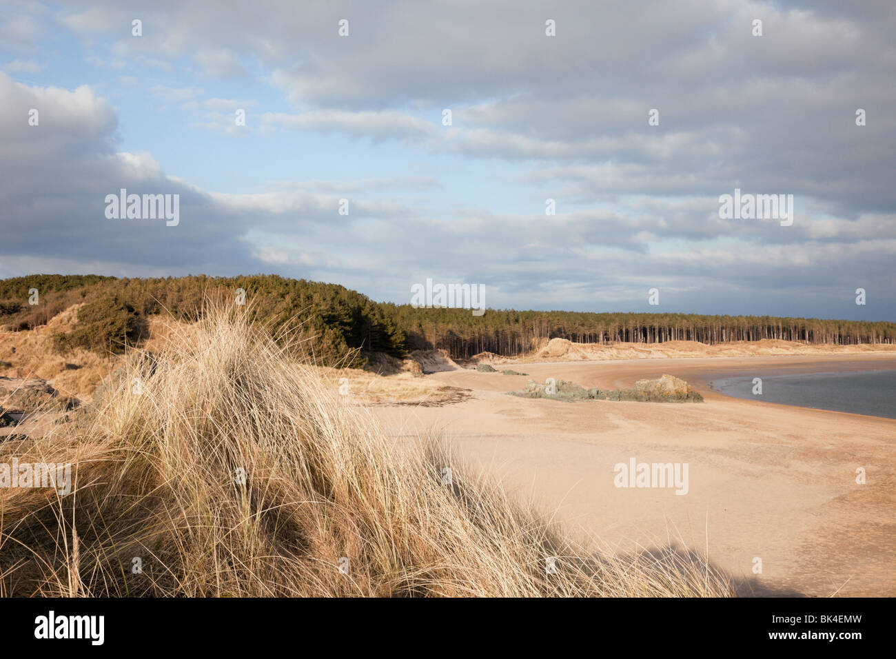 Vista di Newborough della foresta e della spiaggia di Isola di Llanddwyn. Newborough, Isola di Anglesey, Galles del Nord, Regno Unito, Gran Bretagna. Foto Stock