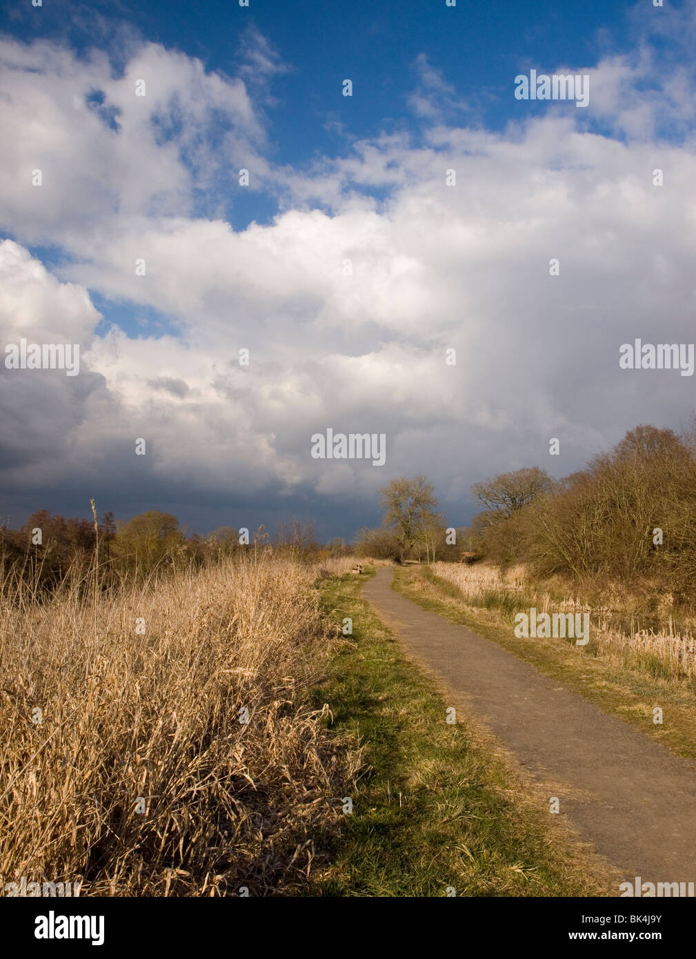Pista ciclabile lungo il lato di Chippenham canal restauro Foto Stock