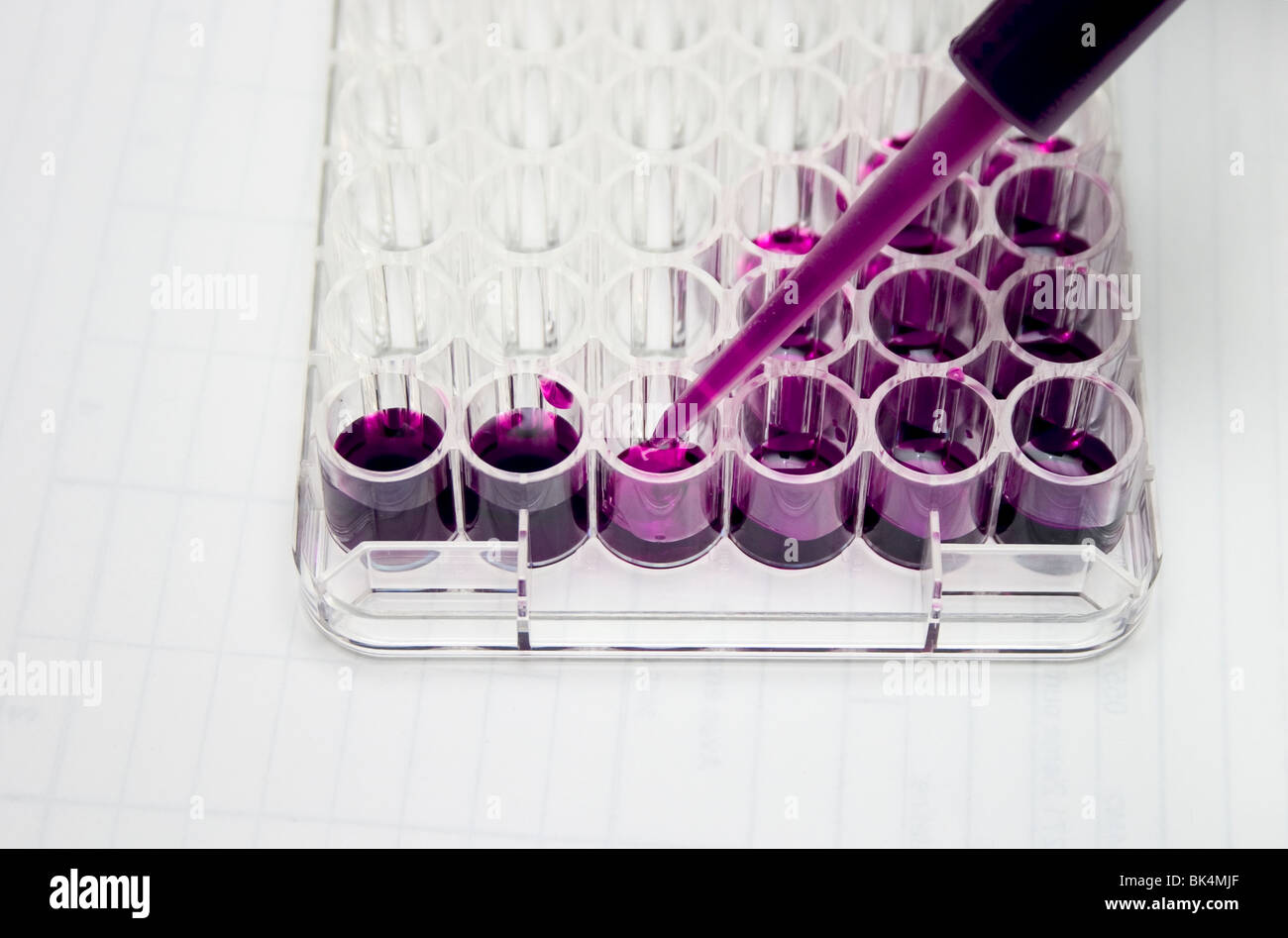 Le pipette liquido di gocciolamento in supporto del campione Foto Stock
