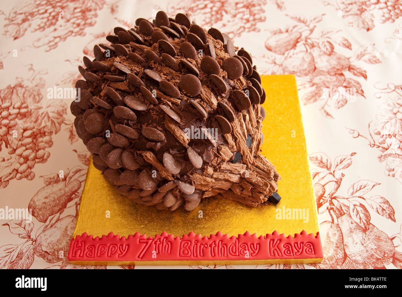 Riccio di cioccolato Novità torta di compleanno Foto Stock