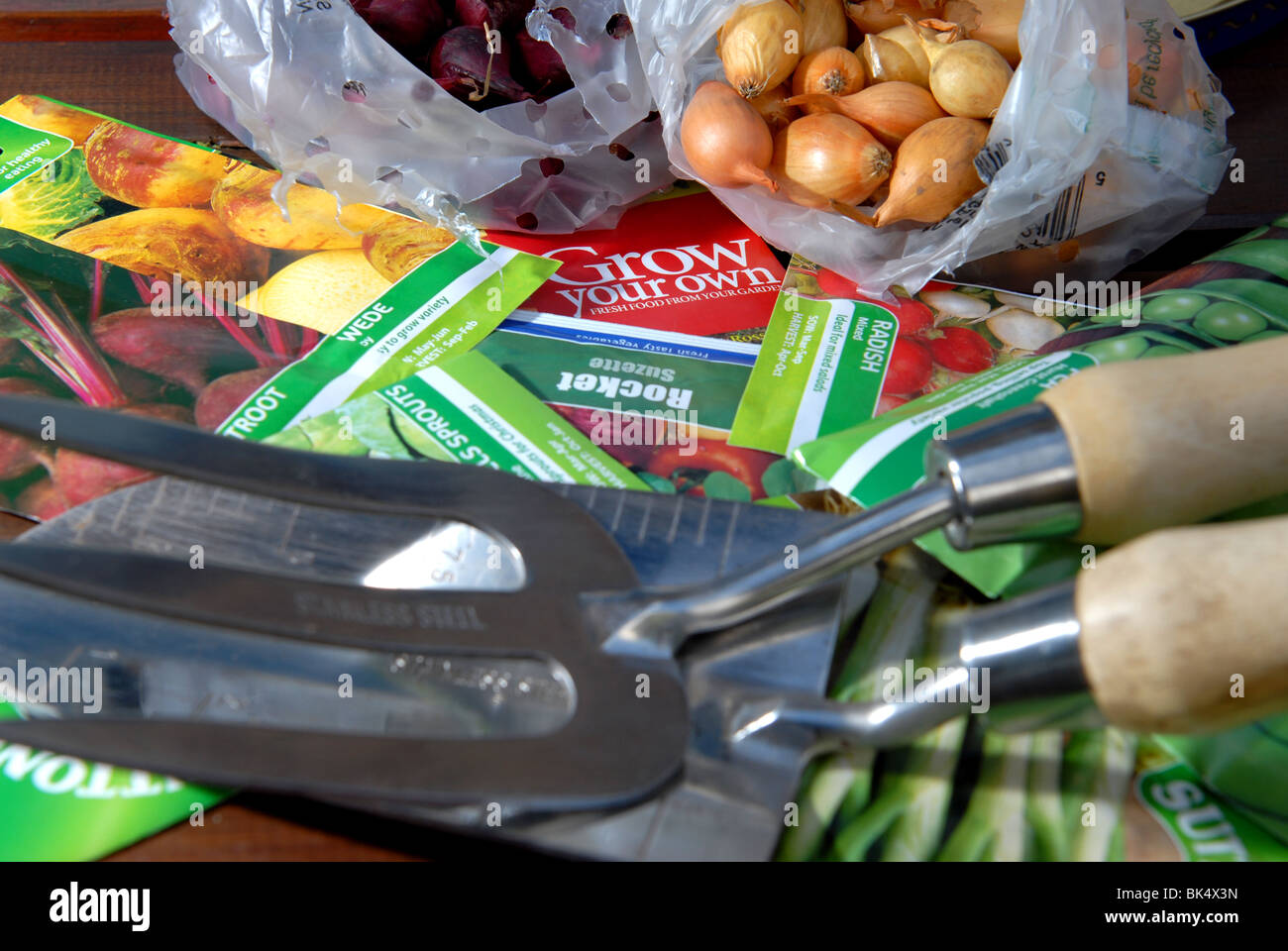 Una varietà di semi di ortaggi e bulbi pronto per essere piantato in un piccolo appezzamento di veg autosufficienti crescere il proprio Foto Stock