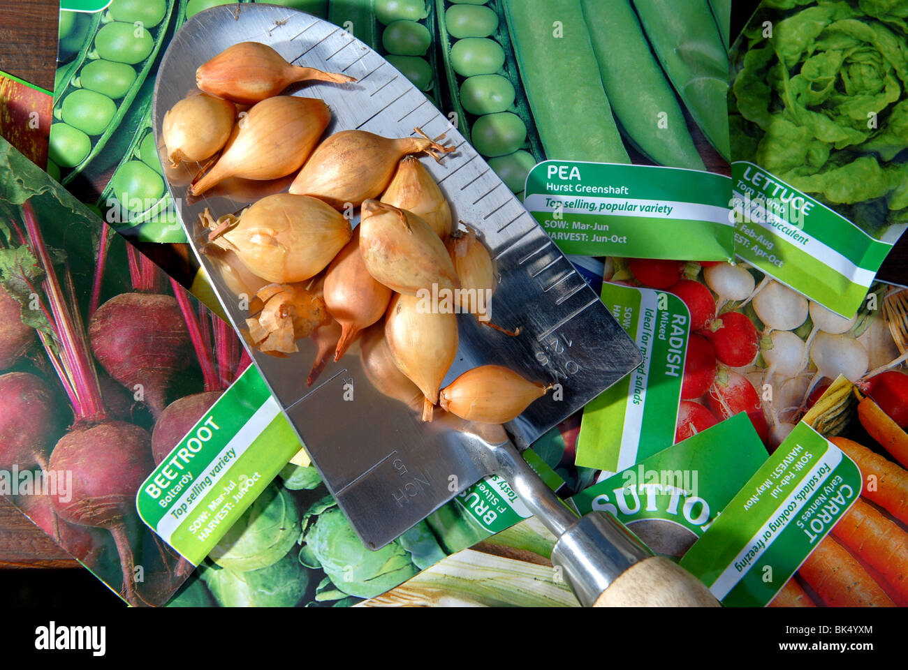 Una varietà di semi di ortaggi e bulbi pronto per essere piantato in un piccolo appezzamento di veg autosufficienti crescere il proprio Foto Stock