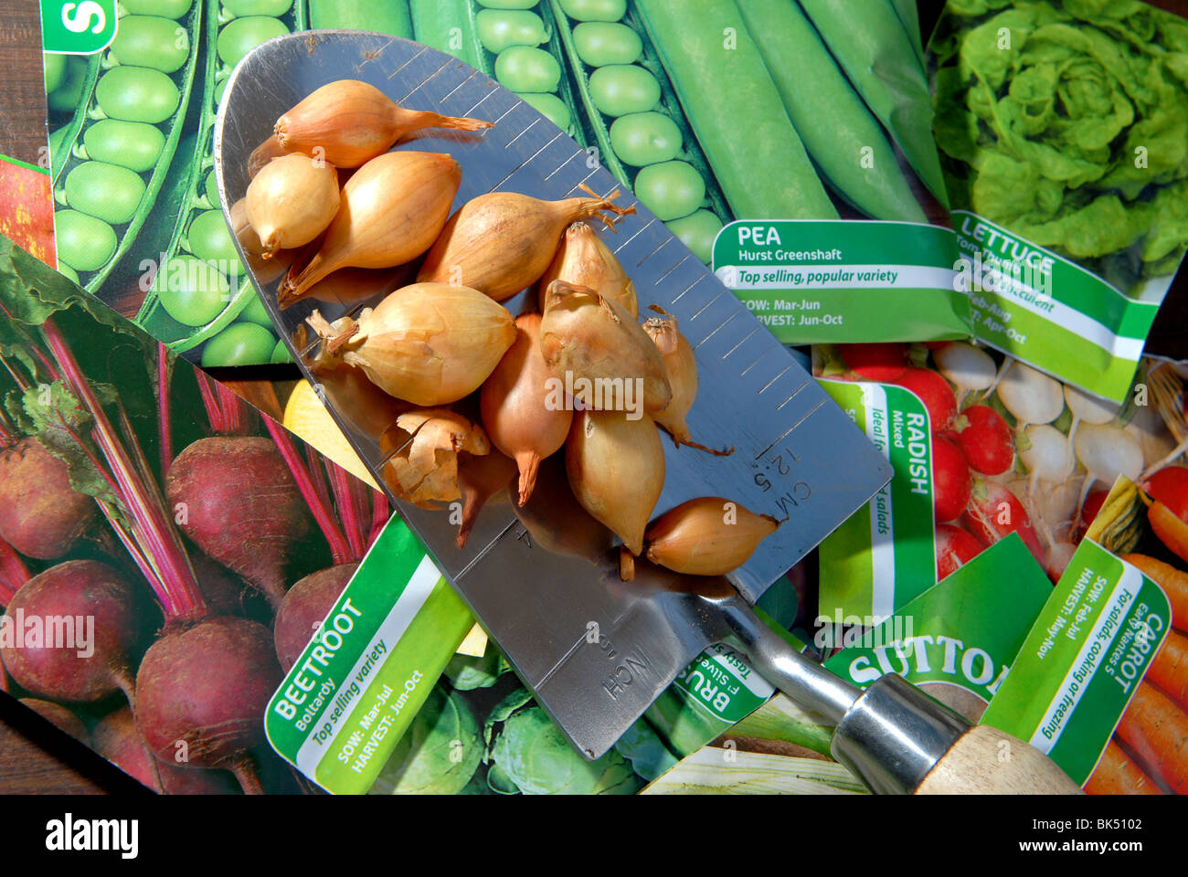 Una varietà di semi di ortaggi e bulbi pronto per essere piantato in un piccolo appezzamento di veg autosufficienti crescere il proprio Foto Stock
