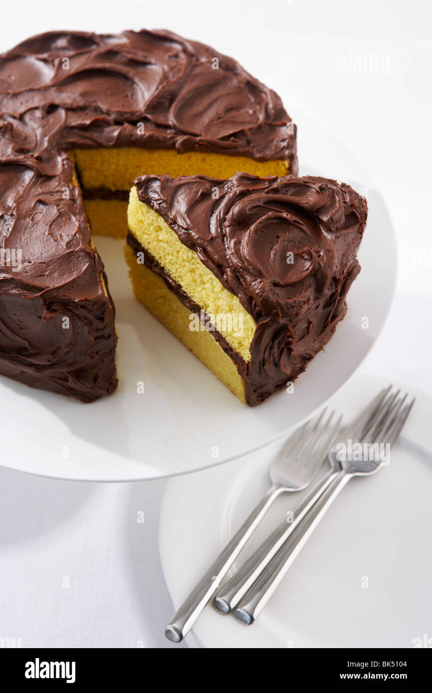 La torta con la glassa di cioccolato Foto Stock