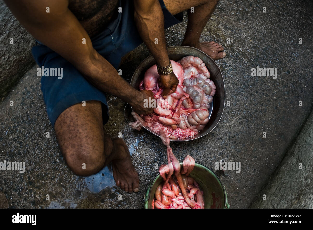 Un uomo cubano l'elaborazione dell'intestino del maiale nella benna durante l uccisione di porco in Santiago de Cuba, Cuba. Foto Stock
